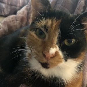 Meet your Posher, Tiffany